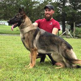 Wynonna - German Shepherd