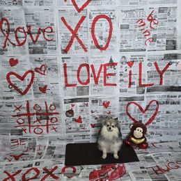 Jax - Pomeranian