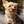 Unnamed
