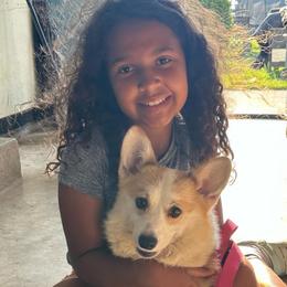 Basil - Pembroke Welsh Corgi