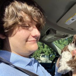 Lagotto Romagnolo Puppies from Anna’s Lagottos