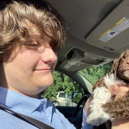 Lagotto Romagnolo Puppies from Anna’s Lagottos