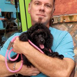 Chinese Crested and Poodle Puppies from Amari Miniature Poodles and Chinese Cresteds