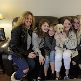 French Bulldog, Goldendoodle, and Golden Retriever Puppies from Crystal Coast Kennels, LLC