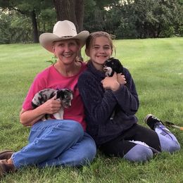 Miniature Australian Shepherd and Toy Australian Shepherd Puppies from Pawesome Lil Aussies