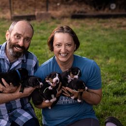 Entlebucher Mountain Dog puppies from Feather Farm's Entles