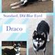 Draco