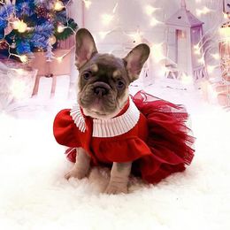 Lilac Tan Fluffy Carrier - Tricolors French Bulldog puppy in Tucson, Arizona from The Origin French Bulldogs