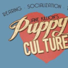 Goldendoodle Puppies from Dean Doodles