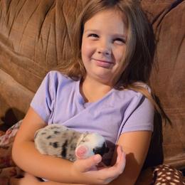 Blue Merle girl - Blue merle female Border Collie puppy in Ripley, Oklahoma from Adventure5 Border Collies