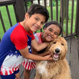 Goldendoodles from Nebraska Doodle Crew