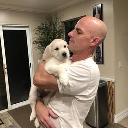 Golden Retriever Puppies from Lakeside Golden Retrievers