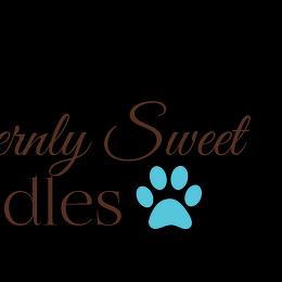 Goldendoodles from Southernly Sweet Doodles