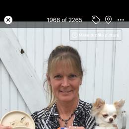 Chihuahua All Grown Up from Hidden Valley