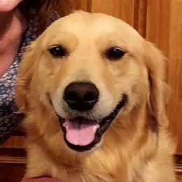 Anna Grace - Golden Retriever