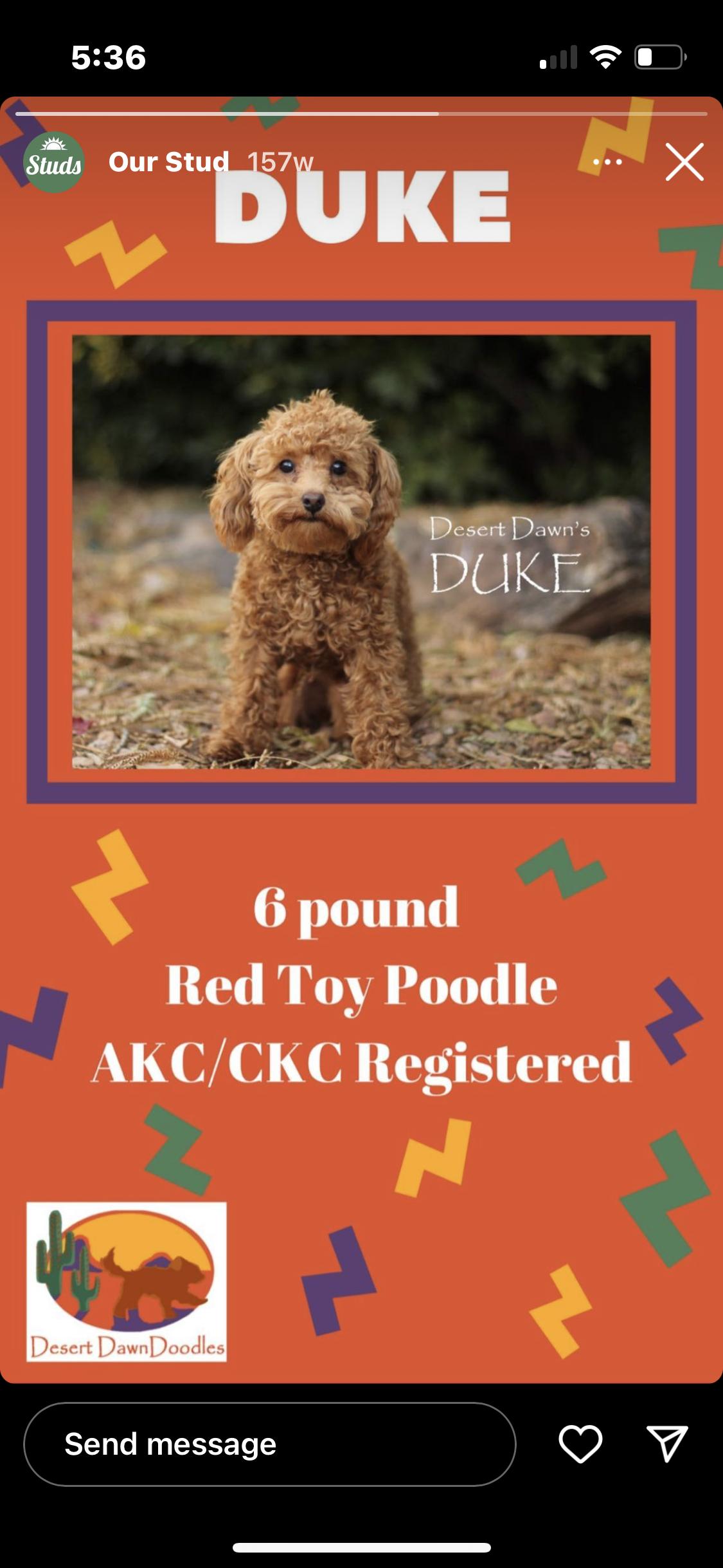 Duke