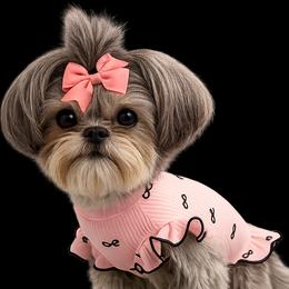 Pippa - Shih Tzu