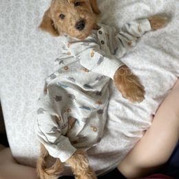 Goldendoodle Puppies from Ivie Mountain Doodles