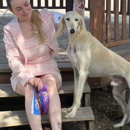 Reef - Saluki