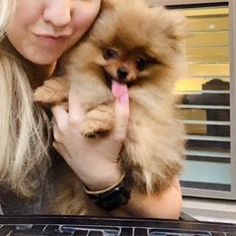 Pomeranian Puppies from Halo Poms