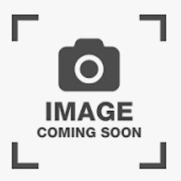 Girl five - Black and tan female Dachshund puppy in Galax, Virginia from Dells  Dachshund’s