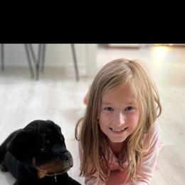 Coton de Tulear, Rottweiler, and Shih Tzu Puppies from Vom Hause Noble Rottweilers and Shih Tzu