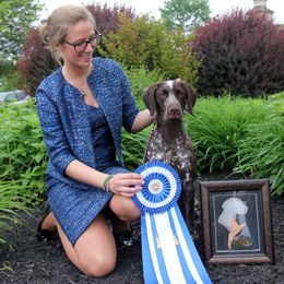German Shorthaired Pointers from Breezy Valley German Shorthaired Pointers