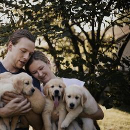 Golden Retriever Puppies from Rosemary Goldens