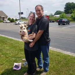 Australian Shepherd Puppies from Holly Ridge Aussies