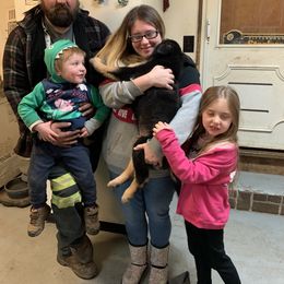 German Shepherd Puppies from Shenango Valley Shepherds