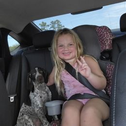 American Bully, German Shorthaired Pointer, and German Wirehaired Pointer All Grown Up from Shoreline Pointers