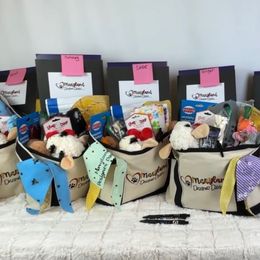 Goldendoodle Puppies from Maryland Designer Doodles