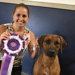 Rhodesian Ridgeback Puppies from Zambezi River Ridgebacks