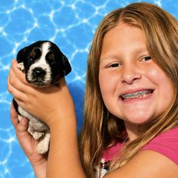 Elvis - Tri-Roan male English Springer Spaniel puppy in Fort White, Florida from Thunderbird Springers