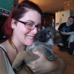 German Shepherd Puppies from Storybook Kennels