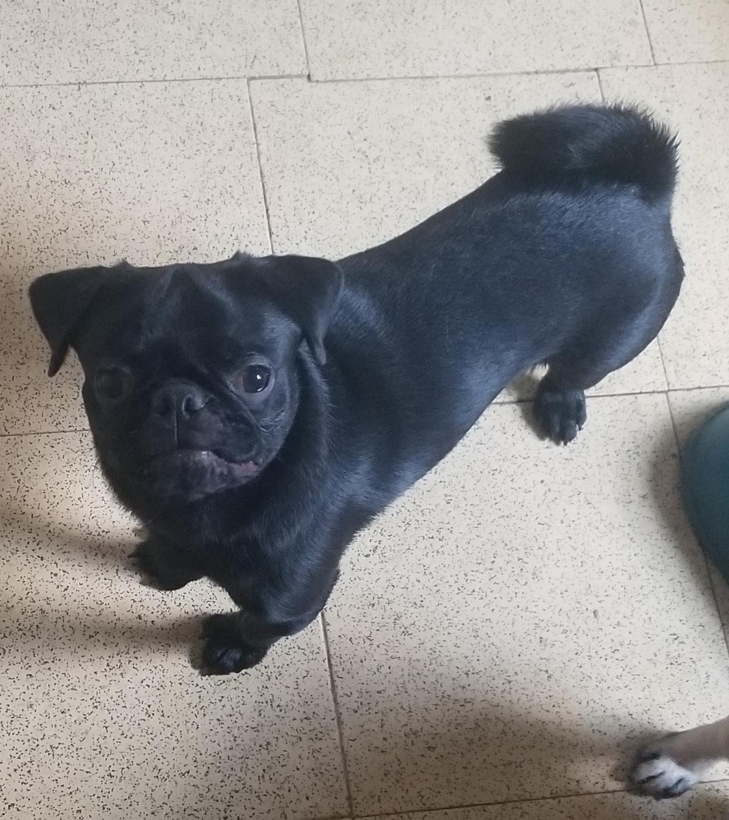 Leroy