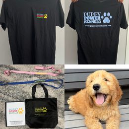 Cockapoo and Goldendoodle Puppies from Puppy Power Kennels