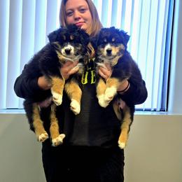 Australian Shepherd Puppies from Winsome Aussies