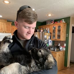 Sarplaninac Puppies from KF Bogy’s Farm, LLC
