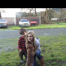 Boston Terrier and French Bulldog Puppies from High Plains