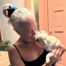 Pug Puppies from Pug Perfection Puppies