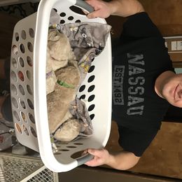 Goldendoodle, Schnoodle, and Sheepadoodle Puppies from Dood Ranch