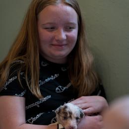 Border Collie Puppies from Air Capital Border Collies