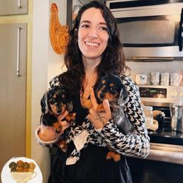 Dachshund Puppies from The Teacup Homestead Miniature Dachshunds