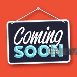 Boy 2 - Salt and pepper male Miniature Schnauzer puppy in Raymond, Washington from Springs Miniature Schnauzers