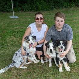 Australian Shepherd Puppies from MilkyWay Aussies with Tails