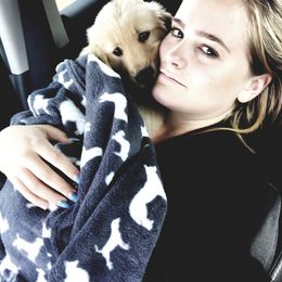 Golden Retriever Puppies from Sims Golden Retrievers