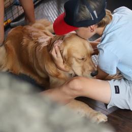 Golden Retriever Puppies from Golden Hour Golden Retrievers