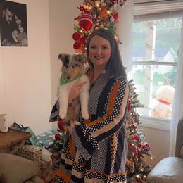 Collie and Yorkshire Terrier Puppies from Jolly Collies & Kingdom Elite Yorkshire Terriers