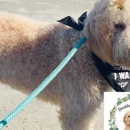 Double Doodles from Double L Doodles